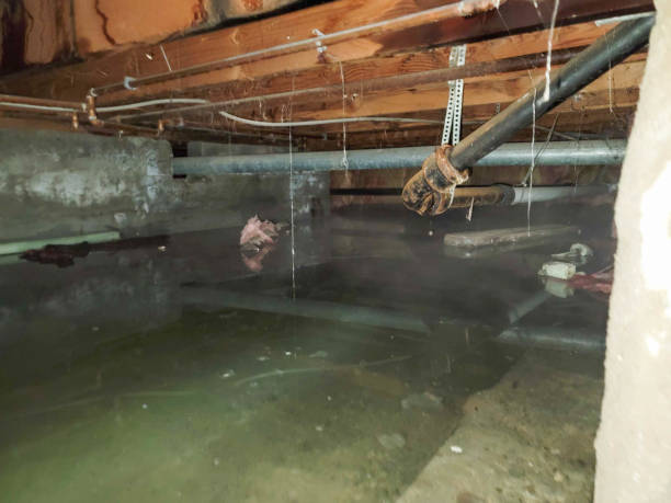 Best Local water damage restoration  in Ephrata, WA