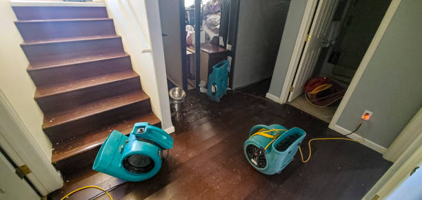 Best Water damage repair service  in Ephrata, WA