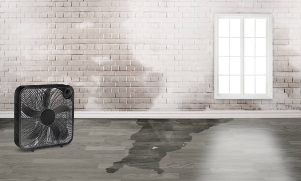 Best Ceiling water damage repair  in Ephrata, WA