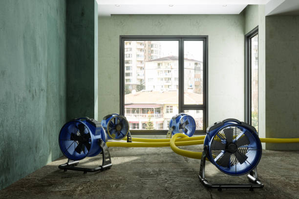 Best Water damage restoration near me  in Ephrata, WA